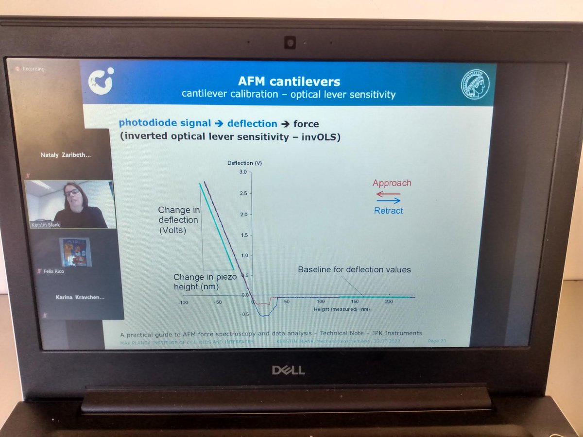 Natik119's tweet photo. Thank you for your amazing!  @SingleMolecules  #AFMBioMed2020  @FM4B_Lab https://t.co/qlR1DQZjdP