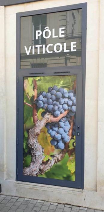CAAnjouMaine's tweet photo. [Pôle Viticole] 🍇 Savez-vous dans laquelle de nos agences se trouve cette façade présentant notre Pôle #Viticole ?
#viticulture #vigneron #viticulteur 
https://t.co/pf1lyI0fo5 https://t.co/VrTsnEeHZJ