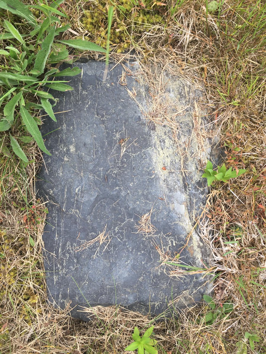 Sometimes headstones don't look the way you expect. These are field stones! They sometimes have markings, but not always. If you're not looking for them, you might miss them.