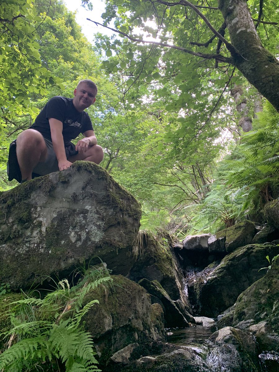 James Chamberlain tweet media