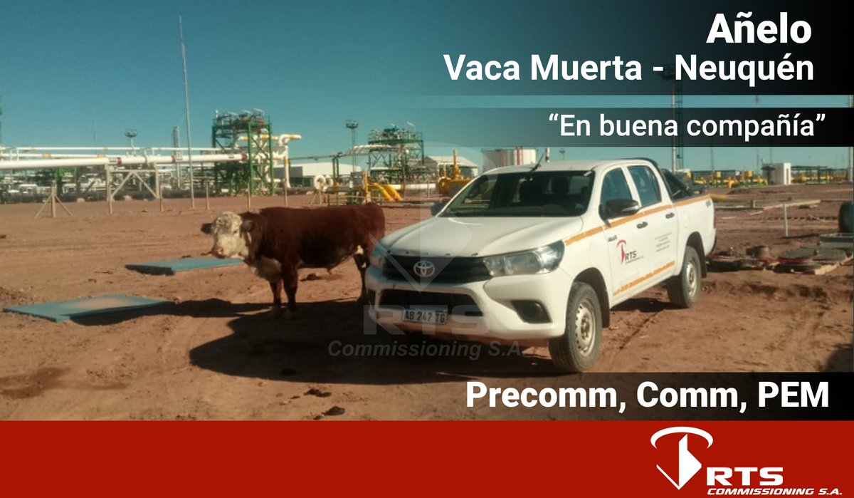rts_comm's tweet photo. En buena compañía.
Añelo - Vaca Muerta - Neuquén
#rtscommissioning #añelo #nqn #precomm #comm #pem https://t.co/X0ryCrKOVs