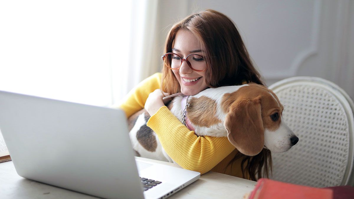 Each year, the number of those working from home increases, and COVID-19 has demonstrated to a great many employers that working from home is possible. In this article we discuss the positive impact of working from home - buff.ly/3gTJBsS