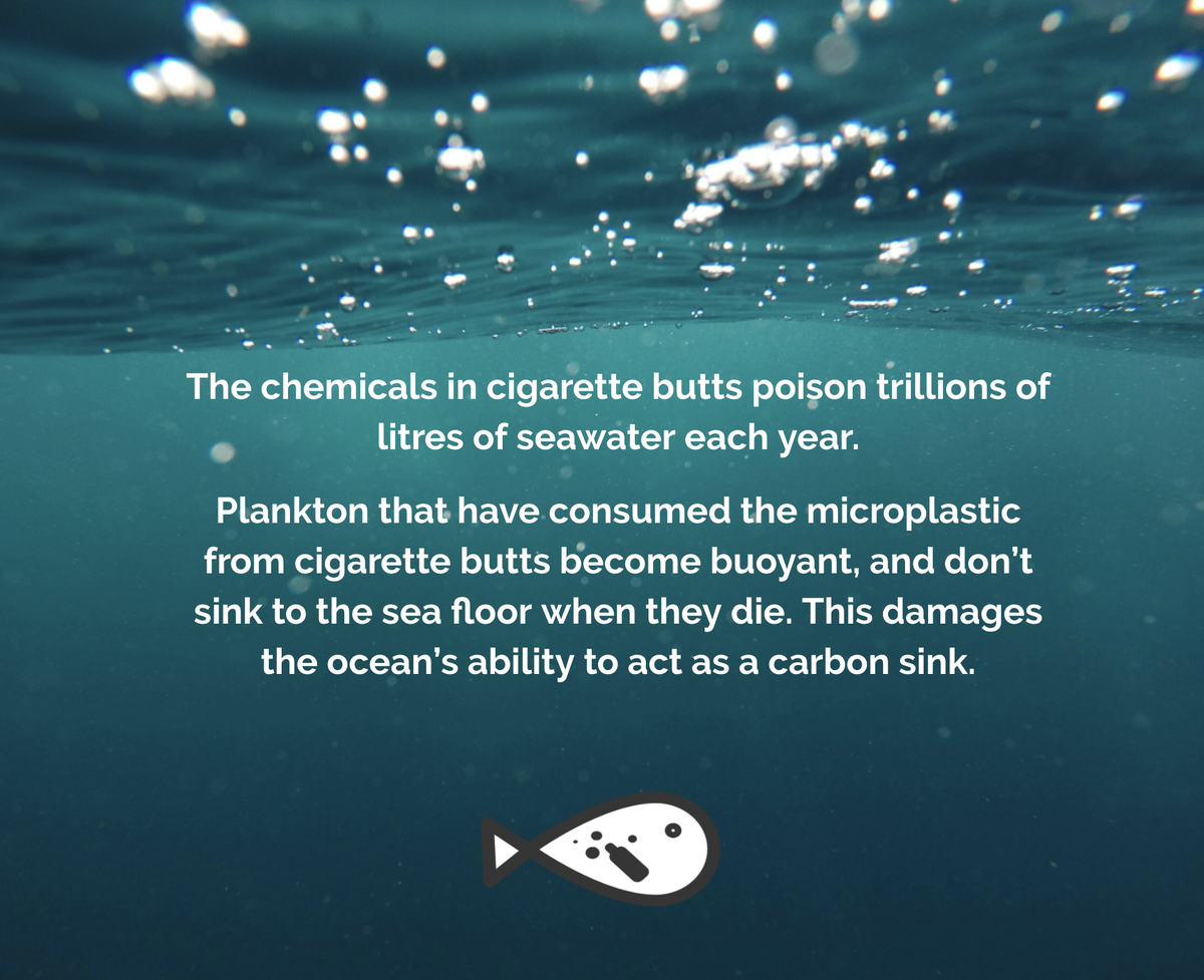 filtracycle's tweet photo. A thread detailing the devastating impact that cigarette butts have on planets and ecosystems. We recycle cigarette butts into a sustainable plastic alternative to petroleum-based plastic. Our #IntelligentPlastic solves problems instead of creating them. #zerowaste #recycling https://t.co/sYbZHoNixd
