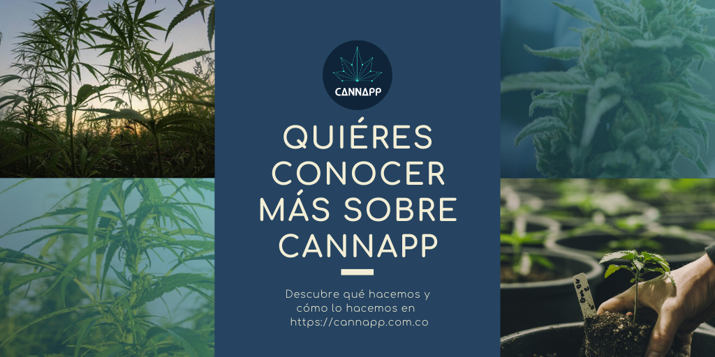 CannappColombia's tweet photo. ¿Has oido hablar de @CannappColombia, pero no sabes qué hacemos exactamente? 

Si te interesa saber qué hacemos y cómo lo hacemos haz clic en el siguiente enlace: 

https://t.co/T9sTYJJbN9 https://t.co/kLtEtZLlzR