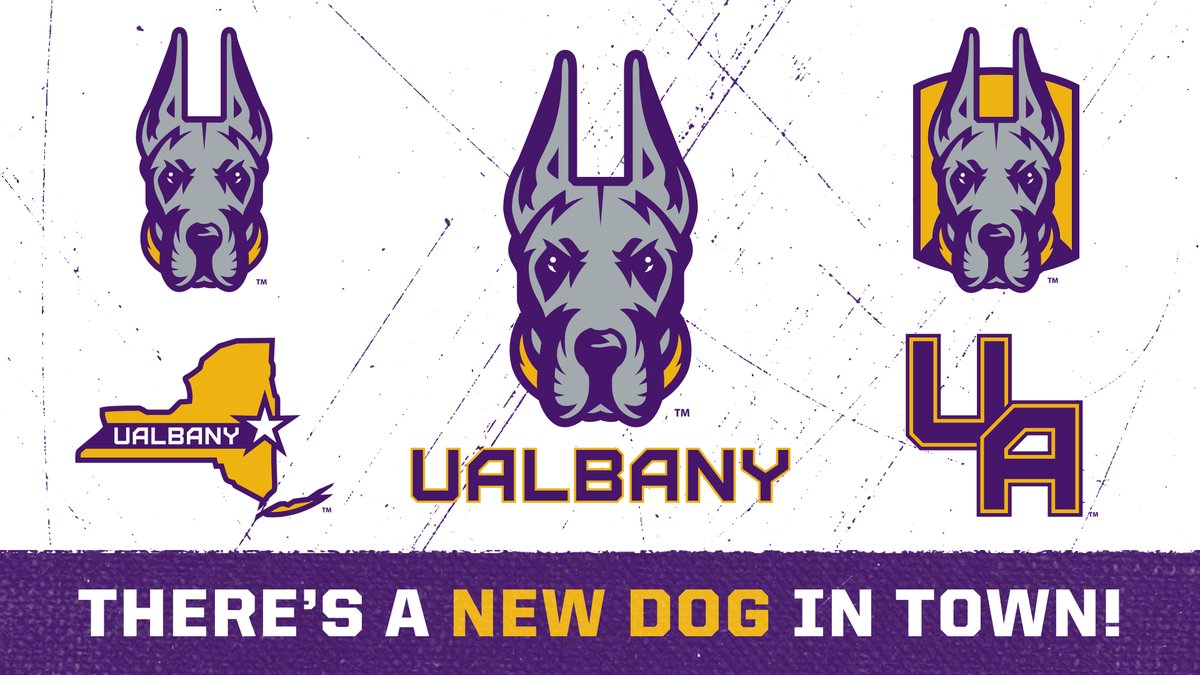 UAlbanySports's tweet photo. Today we unveil a refreshed brand identity for UAlbany Athletics.

Read more ➡️ https://t.co/bhkybXMgyv

#BeGreat // #NewDogInTown https://t.co/g6suCkW8iC