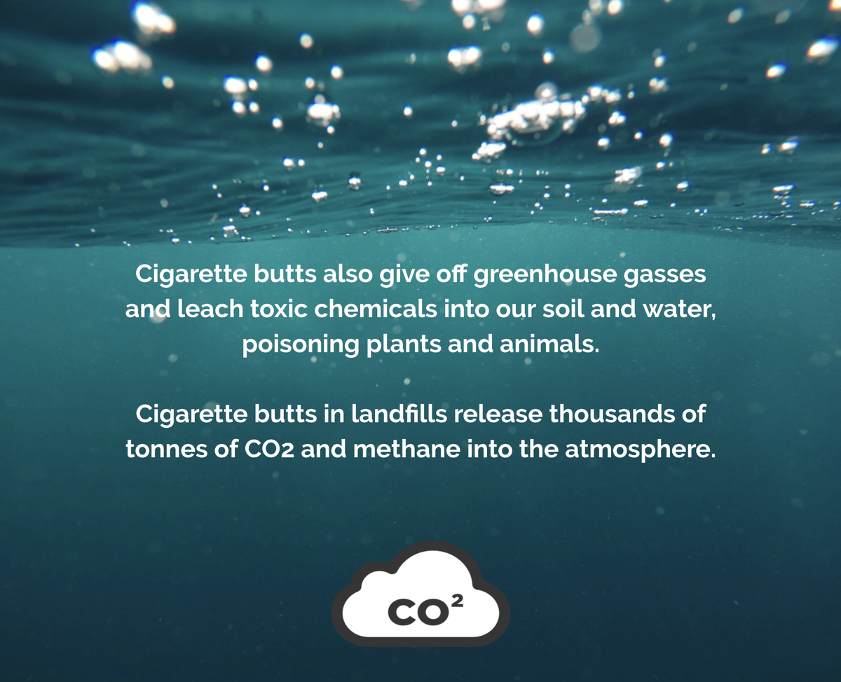 A thread detailing the devastating impact that cigarette butts have on planets and ecosystems. We recycle cigarette butts into a sustainable plastic alternative to petroleum-based plastic. Our #IntelligentPlastic solves problems instead of creating them. #zerowaste #recycling