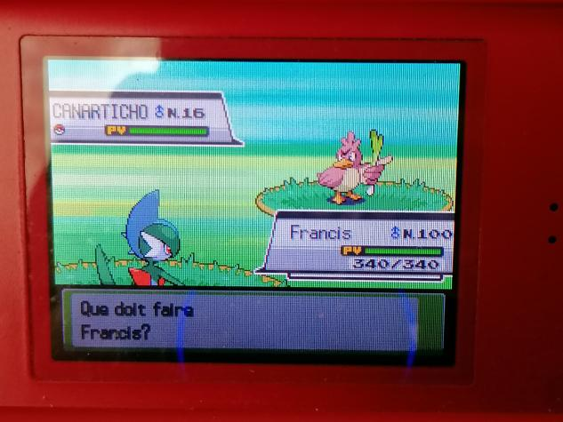 NyralliaSH's tweet photo. Ce Canarticho rosé est venu me dire bonjour après 10042 rencontres ! Ce n'était toujours pas ma cible mais il fait bien plaisir. Je reprendrai Miaouss plus tard lorsque j'aurai accès à Kanto sur cette version ! https://t.co/IepntF2l3E