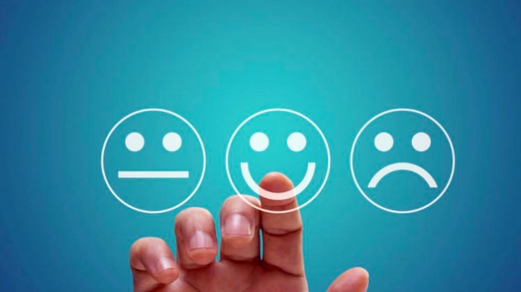 Supply Pilot tweet media