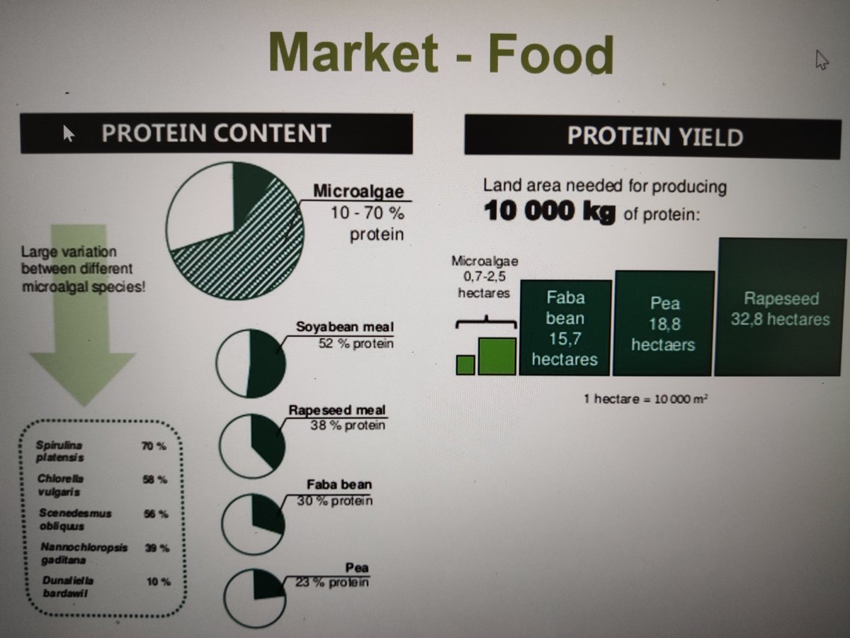 ValorMarPT's tweet photo. Margarida Costa da Allmicroalgae a apresentar detalhes sobre a produção de macroalgas e microalgas e seus benefícios específicos #valormar #portugal2020 #compete2020 #webinar https://t.co/9b4kcVMFKt