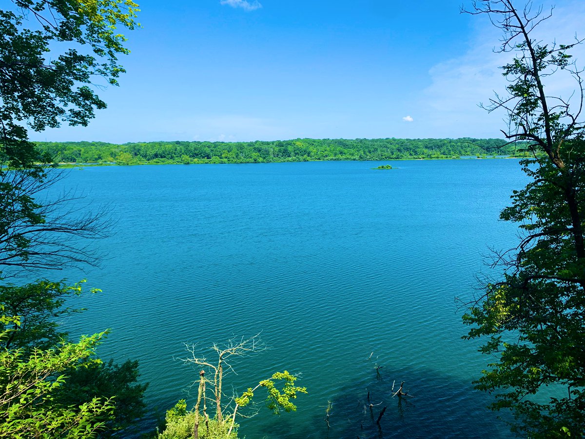 Rachel J. tweet media