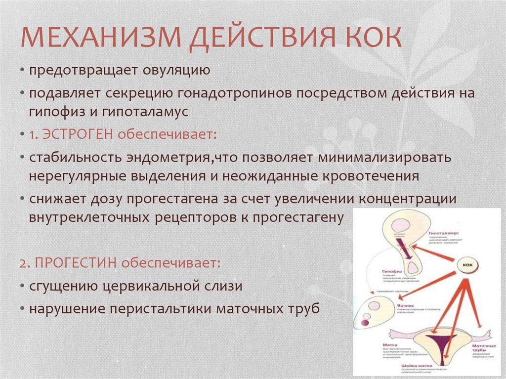 Что такое коки в медицине. Механизм контрацептивного действия гормонов. Комбинированные гормональные контрацептивы механизм действия. Гормональные методы контрацепции механизм действия. Гормональная контрацепция механизм действия.