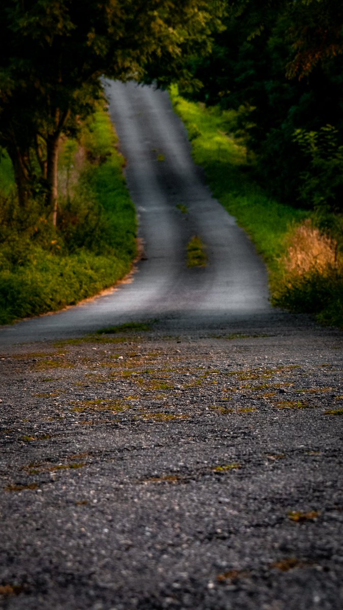 infozoo's tweet photo. #carretera #camino #path #present #road #presente #mindfulness #viveelpresente #relax #optimismo #futuro #nofear #meditation #carpediem #travel #nature #motivacion #buencamino #vida  #landscape #happy #aprovechaelmomento #smile #km #roadtrip https://t.co/Y53AcKcC1P https://t.co/imClyVXWK7