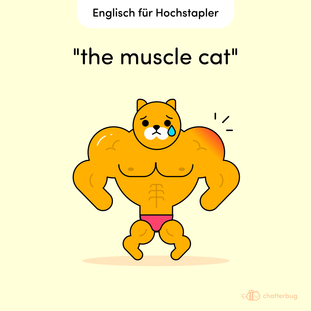 chatterbug_de's tweet photo. Ein Muskelkater ist keine besonders starke Katze. Das Wort Kater geht auf das griechische Katarrh zurück und bedeutet so viel wie Schmerz oder Entzündung. ⁣
⁣
Im Englischen würde von einem "Hangover" gesprochen werden, also quasi: Rübergehänge. Das passt hervorragend! https://t.co/5mYj5V5vJH