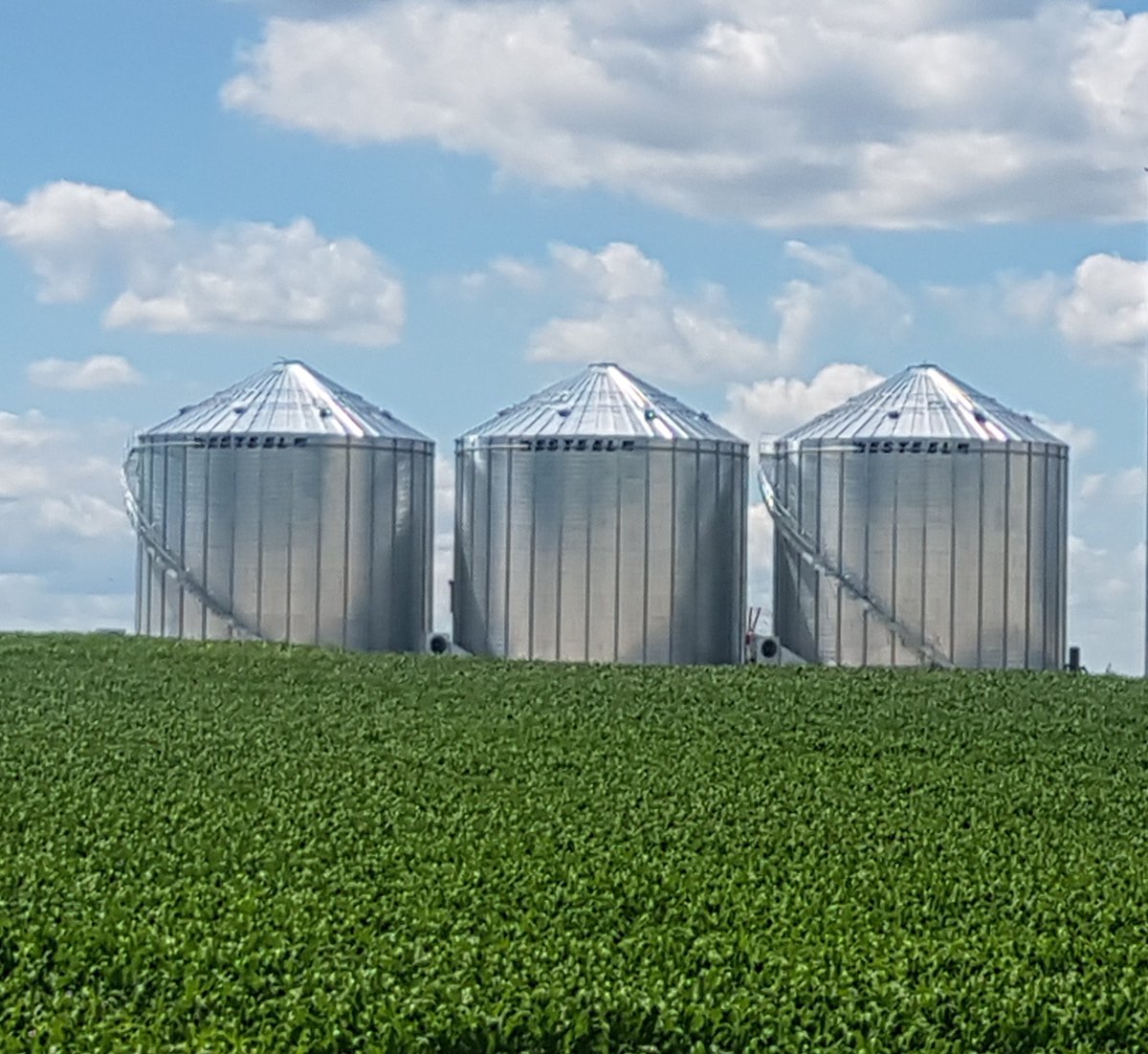 72JasonJones's tweet photo. Crops in many areas are looking great and not far from going into @Westeel_1905 grain bins. @AgGrowthIntl  #harvest20 https://t.co/wRtw1wz04Y