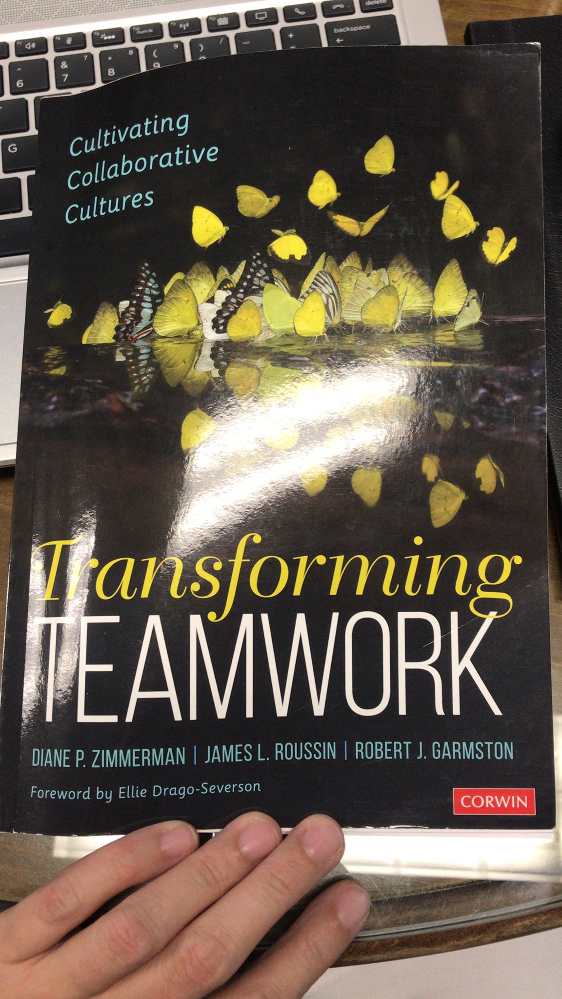 Myki Williamson This Book Is Thankful To Drmarthadoennig For Bringing This Powerful Learning To Our Team Serving Our System With My Learningdevelopment Frolleagues Is Truly A Joy T Co Vimrh77apt