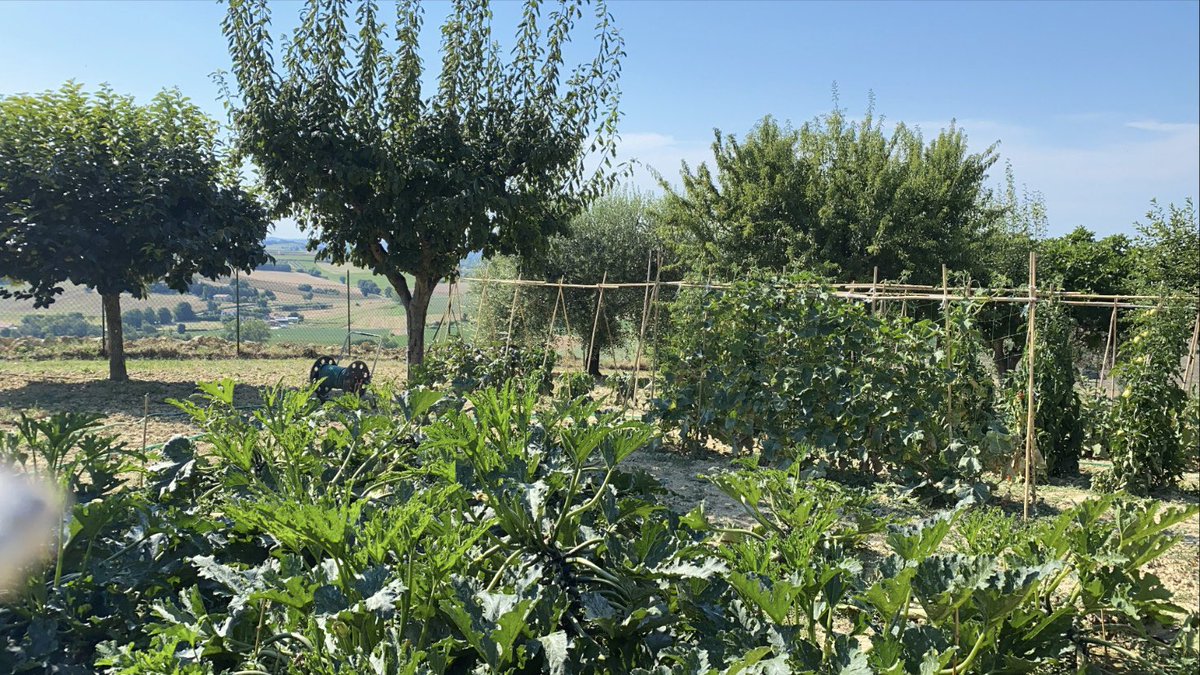 Marillacocchia's tweet photo. Oggi mio padre avrebbe compiuto 87 anni. Questo era il suo angolo di relax, era il suo sogno.. chissà dove sei? Chissà se mi pensi? Io si, e il cuore si stringe e le lacrime bagnano il viso. Poi sento: “ sei una Ragni, non devi piagne. 🤗” #babbomio https://t.co/Y4S65uP5m6