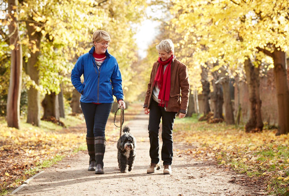 clarebalding's tweet image. I am so sad to tell you that our beloved Archie has walked his last walk. @alicearnold1 and I are broken-hearted but grateful to him for the joy he gave us, the places he took us and the friends he brought us. We miss him so much. RIP Archie 2005-2020