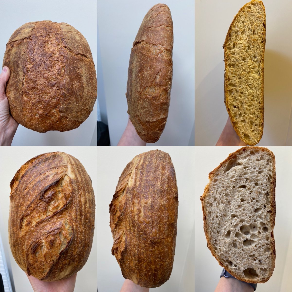 DaintyMonkey's tweet image. Practice, adjust, make notes, practice and hopefully improvement!  Posted photos of top loaf a while ago and while delicious it lacked the height I wanted. Shortened bulk for bottom loaf, proofed in the fridge. Success!  Little changes, big difference. #breadchat #breadsperiment