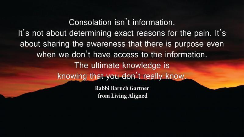 rabbigartner's tweet photo. #LivingAligned Consolation--Isn't Information #selfhelp #motivationalquotes: "Consolation isn't information. It's not about determining exact reasons for the pain. It's about sharing the awareness that there is purpose even when we don't have access t... https://t.co/t9AqI4WQS2 https://t.co/gMQHnZgFcV