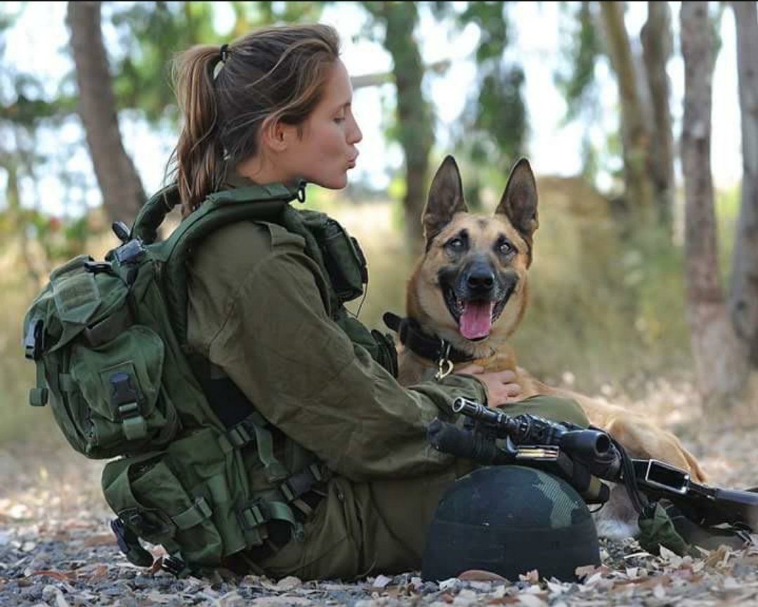 milisrael2017 tweet picture