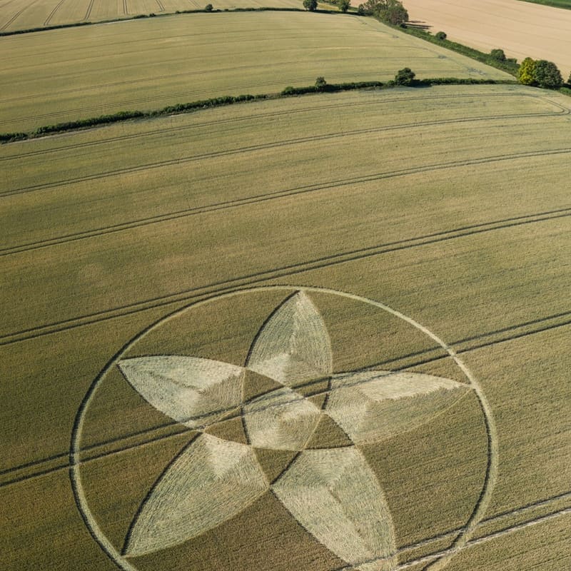 alikosmo's tweet photo. NEW CROP CIRCLE IN UK.

#New #CropCircle is #reported in #ScrubsLane #BishopsSutton #Hampshire #UK on #July 22, 2020.

Fotografías y vídeo presentadas por  #STONEHENGEDRONESCAPES

#Youtube : https://t.co/ePk8W9H8YB
#REPORTEOVNICOAHUILAMX
#ALIENSAVKOSMOS https://t.co/XxAWRswpzn