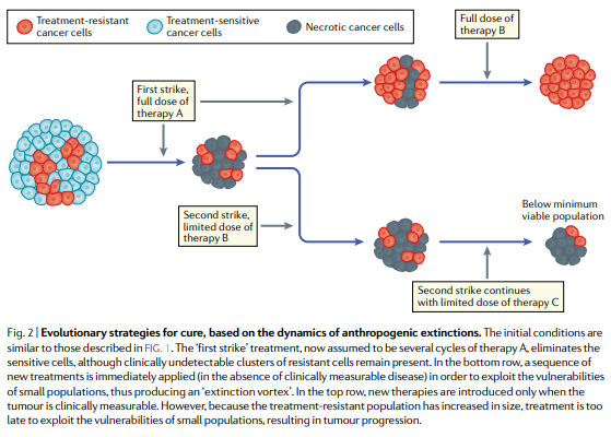 NatRevClinOncol's tweet photo. Another Review now live online. In this article, Robert Gatenby &amp; Joel Brown discuss the concept of 'Integrating evolutionary dynamics into cancer therapy': https://t.co/lRVu2gcmgu https://t.co/zgXuAOmpo9