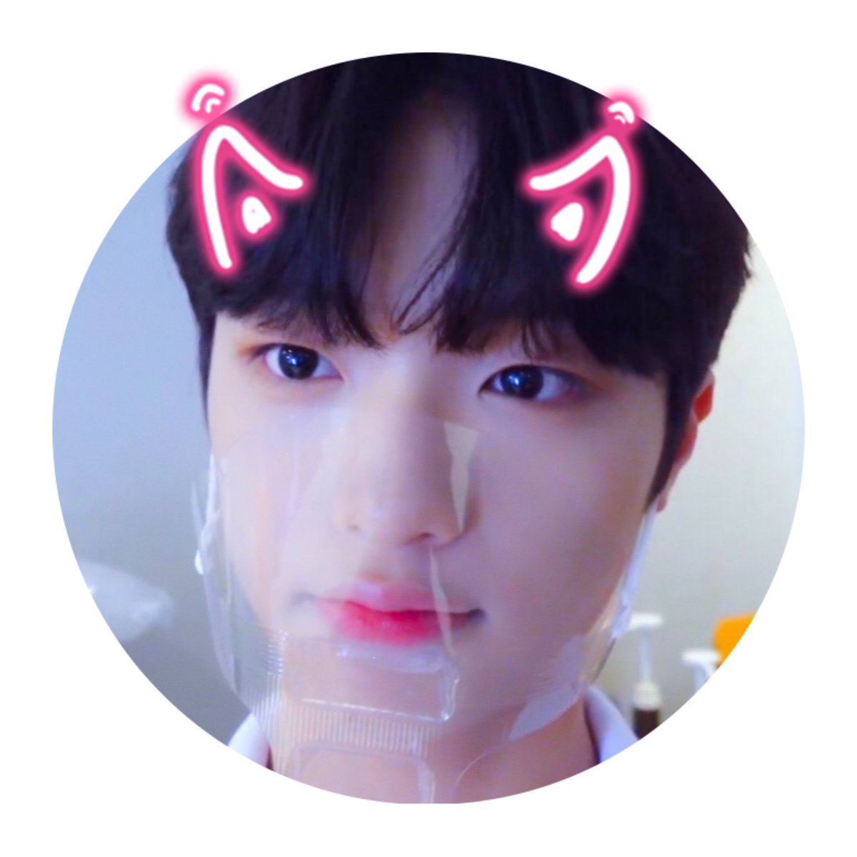 SDP99p's tweet photo. 우리 집 고양이🐱

#손동표 https://t.co/GaPKO38QIC