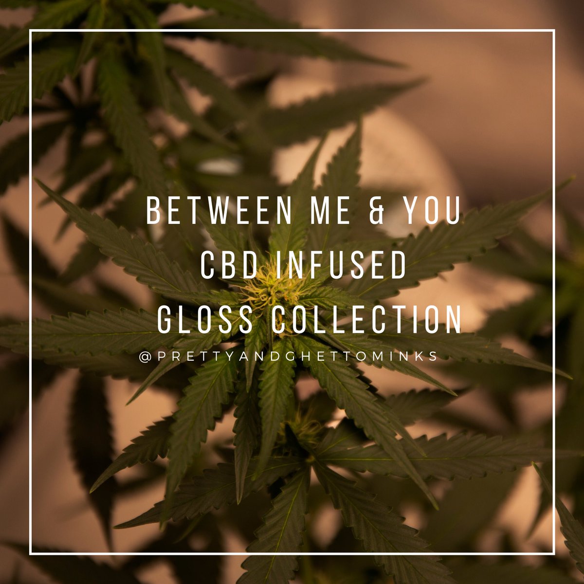 dejaasimonee_'s tweet image. Young, black, and a business owner. Head over to my business Instagram and check us out. ( @prettyandghettominks ) We have 20mm/25mm lashes, lip gloss, CBD lip gloss, lash tools, and etc. ✨