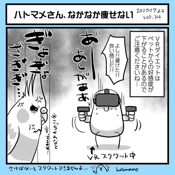 オカメインコ を含むマンガ一覧 5ページ ツイコミ 仮 オカメインコ を含むマンガ一覧 5ページ ツイコミ 仮