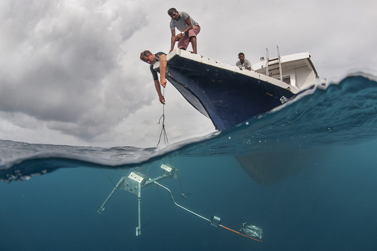 This study would not have been possible without the support of  @VulcanInc and our 104 collaborating organizations across 58 countries. Our dedicated scientists and volunteers watched 15,165 hours of BRUV footage from 371 coral reefs – that’s almost 2 full years! [3/4]