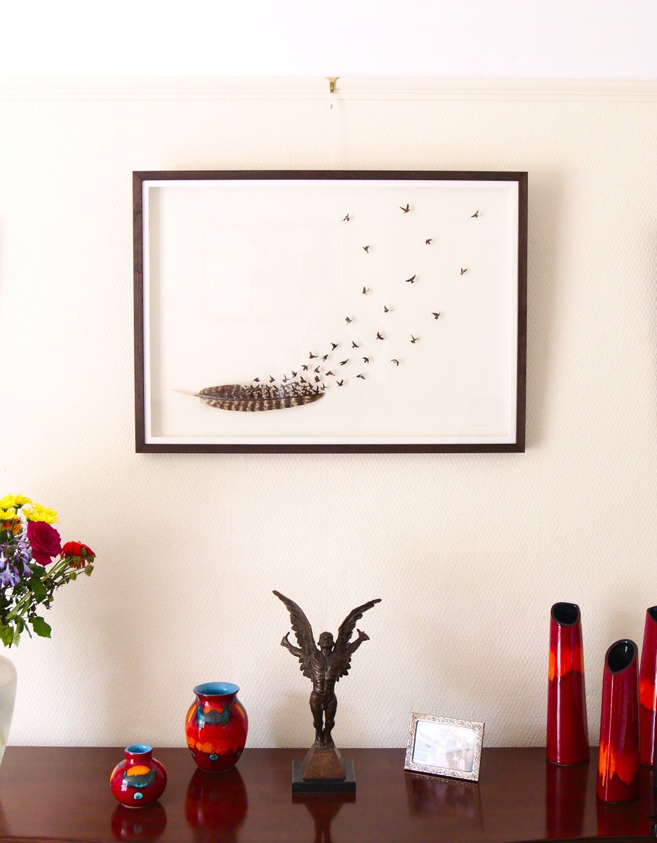 Feather Pictures (@Featherpictures) / Posts / X