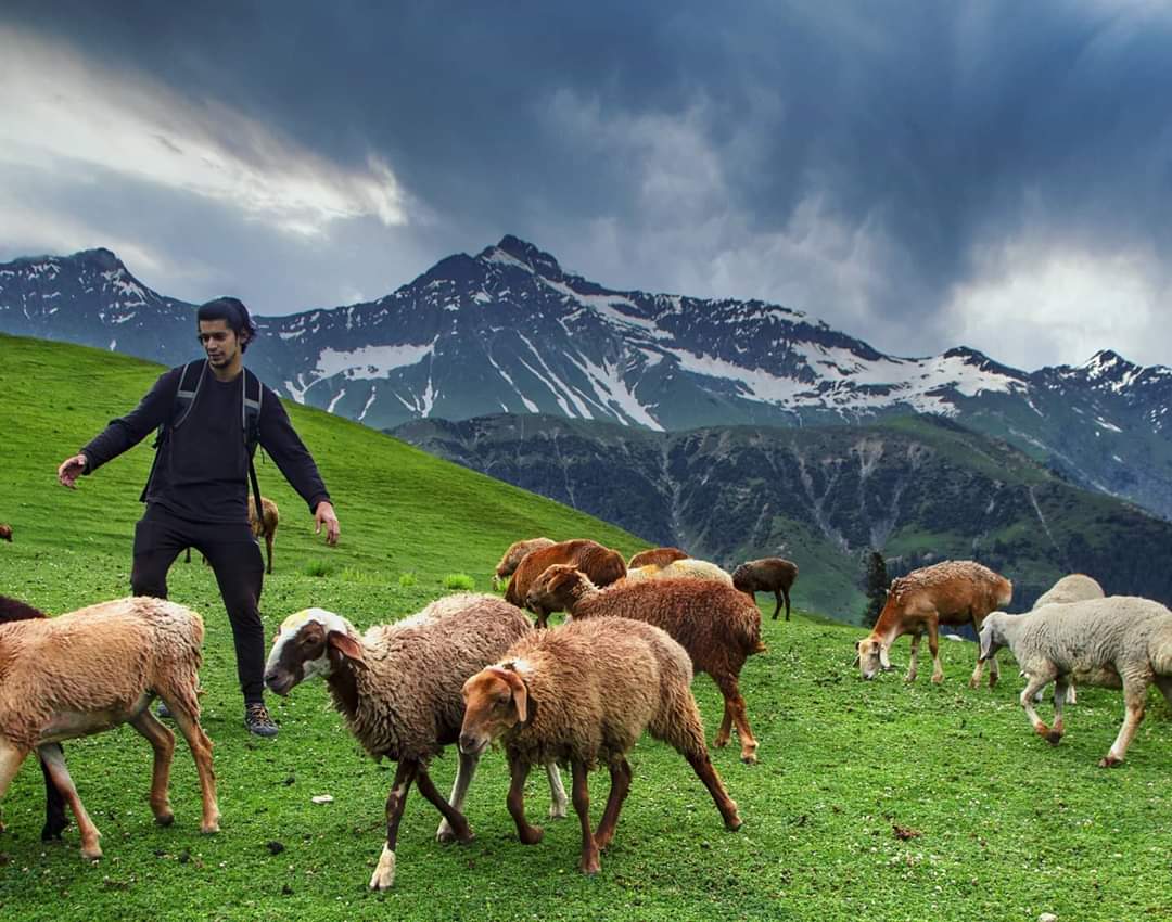 PakTravelGuide's tweet photo. Kaghan Valley ❤️ https://t.co/j3vHpk0wP0