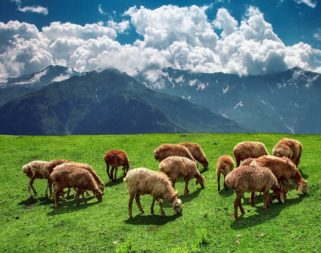 PakTravelGuide's tweet photo. Kaghan Valley ❤️ https://t.co/j3vHpk0wP0