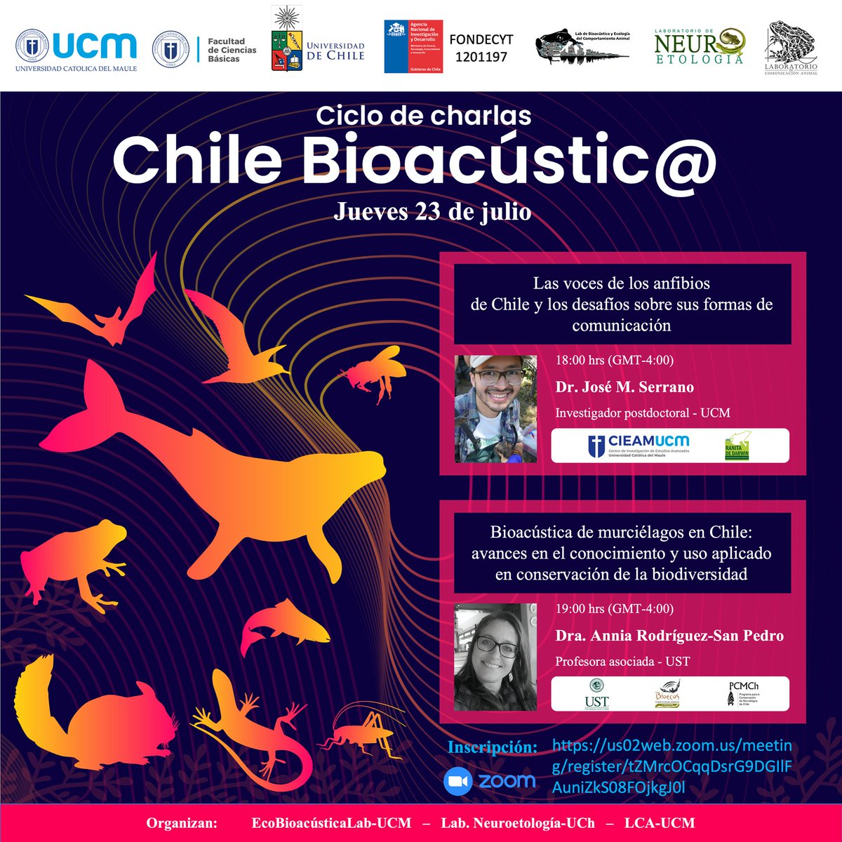ar_sanpedro's tweet photo. Mañana estaremos conversando sobre la @bioacústica de @murciélagos 🦇🦇, los avances en @Chile y su aplicación en estudios de conservación. 
Todos cordialmente invitados!
El link para inscribirse es: https://t.co/Ib71p6HSBD https://t.co/Vjo5B2MWEm