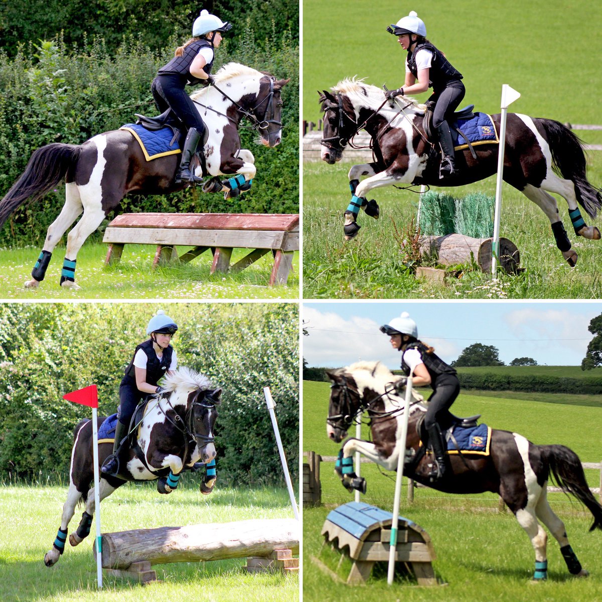 Pony_Cam's tweet photo. Another fun little cross country lesson yesterday on board my favourite pony! Still feeling rusty with jumping but having two XC lessons in a row has definitely helped! #pony #equine #crosscountry #xc https://t.co/CIOTQSnXFT