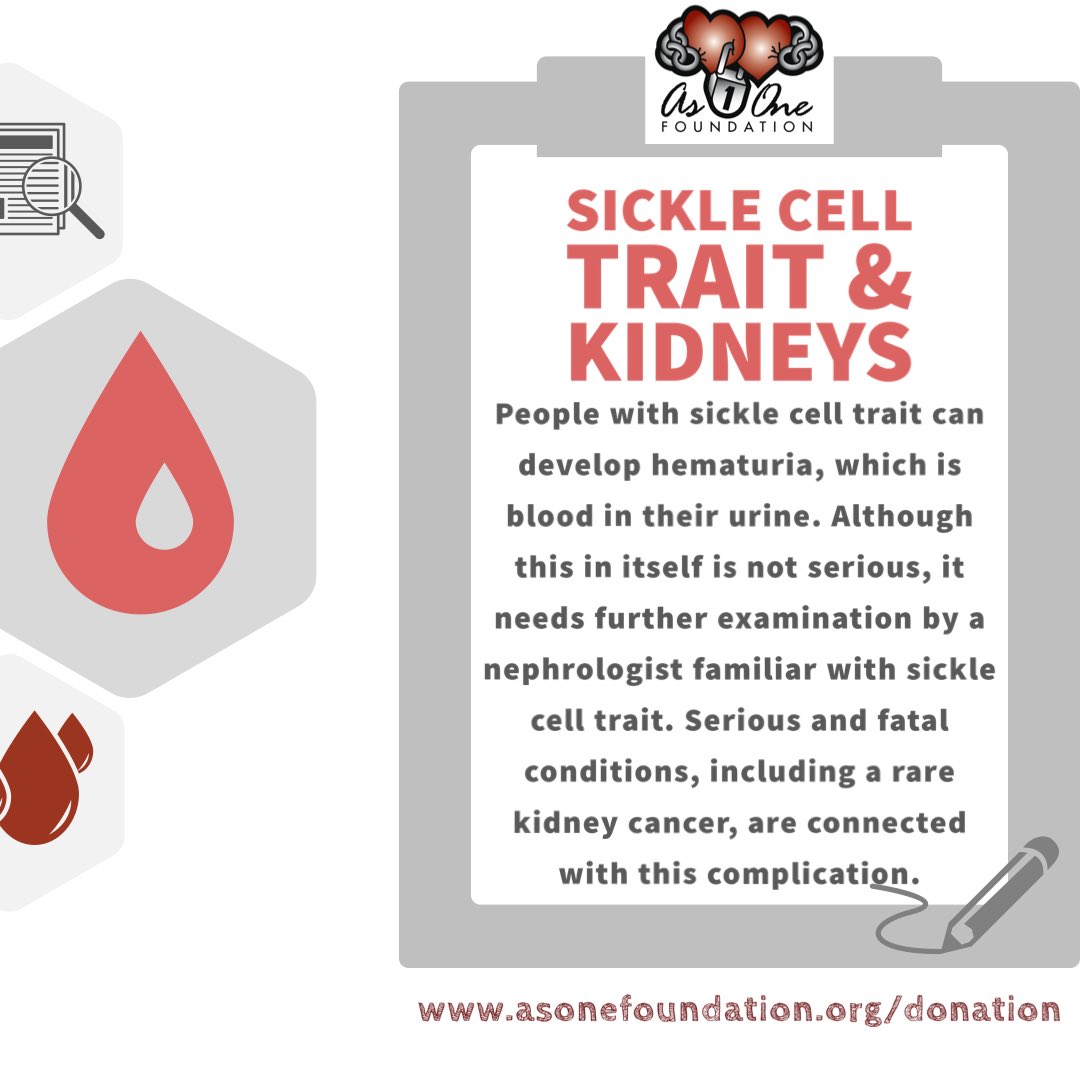 AsOneFoundation's tweet photo. Hematuria, also called blood in the urine, is not uncommon in people with #sicklecelltrait. However, it can also be an indicator for very serious complications so it is very important to follow up with your doctor. #traitwarrior #sicklecell #educationiskey https://t.co/TipID36apE