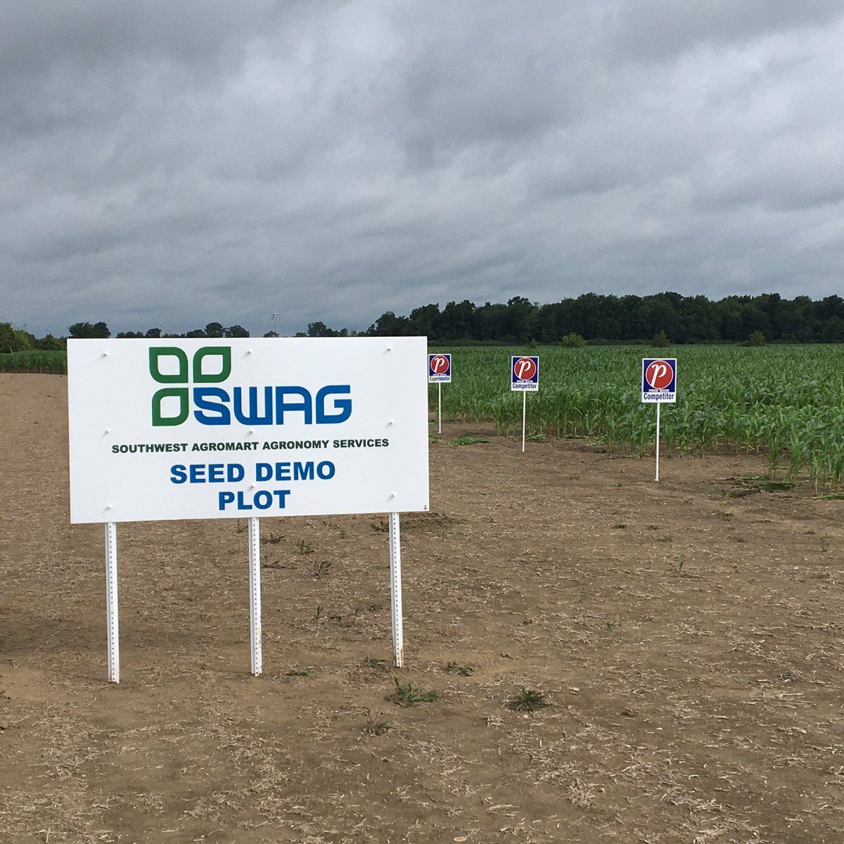 JasonV_SWAG's tweet photo. Snuck in a few @PRIDESEEDS @SWAgromart plot signings this morning with some help from @chapple_mc and @VynMichelle. #PRIDEinmyfield https://t.co/UFOCrj8Ixi