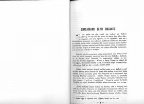 The author begins by attributing 3 similarities between the Mullah and prophet Mohammed. The 2nd was the age of 40 where Mohamed proclaimed prophehood and the Mullah proclaimed his jihaad in 1896 . Forty year's after 1856 a date chosen to liken his movement to the prophet.