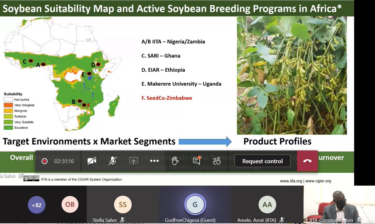 RadioIITA tweet media