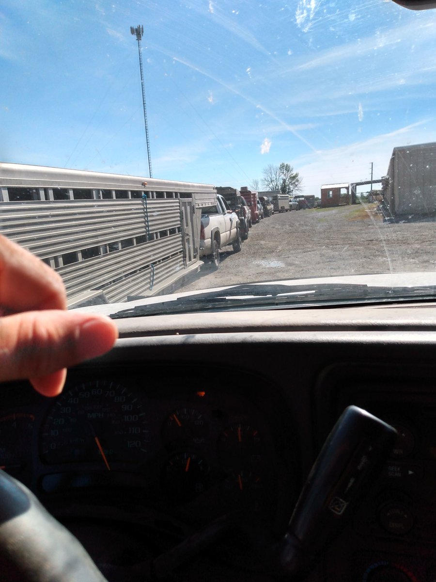 Pretty long line to drop off lambs at Humeston livestock. #truckerproblems