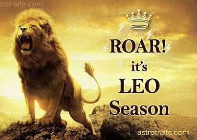 henrive2's tweet image. 