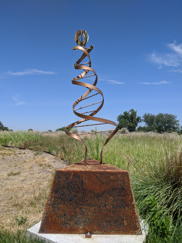 REACH Museum tweet media