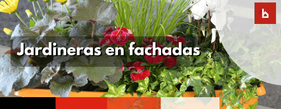 Brokalia's tweet photo. ¿Las jardineras en fachadas son elementos comunes? 🏢➡ https://t.co/1p5jCDuzFq vía @rafman2010 en @Brokalia 

#AAFF #AFColegiado #AdministracióndeFincas #AdministradoresdeFincas #CCPP #ComunidaddePropietarios #SegurosdeComunidades #Seguros https://t.co/XMknBVk4Yf