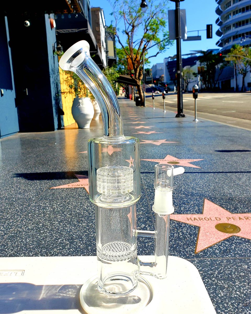hollywoodglass1's tweet photo. 13" Double Chamber Glass Bong/Dab Rig w/ Matrix + Honeycomb Percs.
https://t.co/VnbDf64iNj
.
.
#GlassBongs #GlassDabrig #BongsForSale #BongShop #DabRigs #DoYouDab #GirlsWhoDab #DabLife #StonerBabes #WeedModels #CannabisCommunity #BlackOwnedBusiness  #Mmemberville #WakeAndBake https://t.co/Do3jRh4pEK