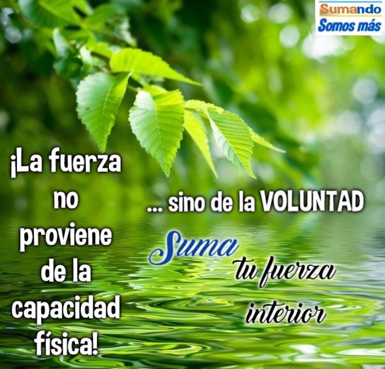 arturosoluna's tweet photo. #sumandovoluntades
#sumate https://t.co/5yD2wZ0xIH