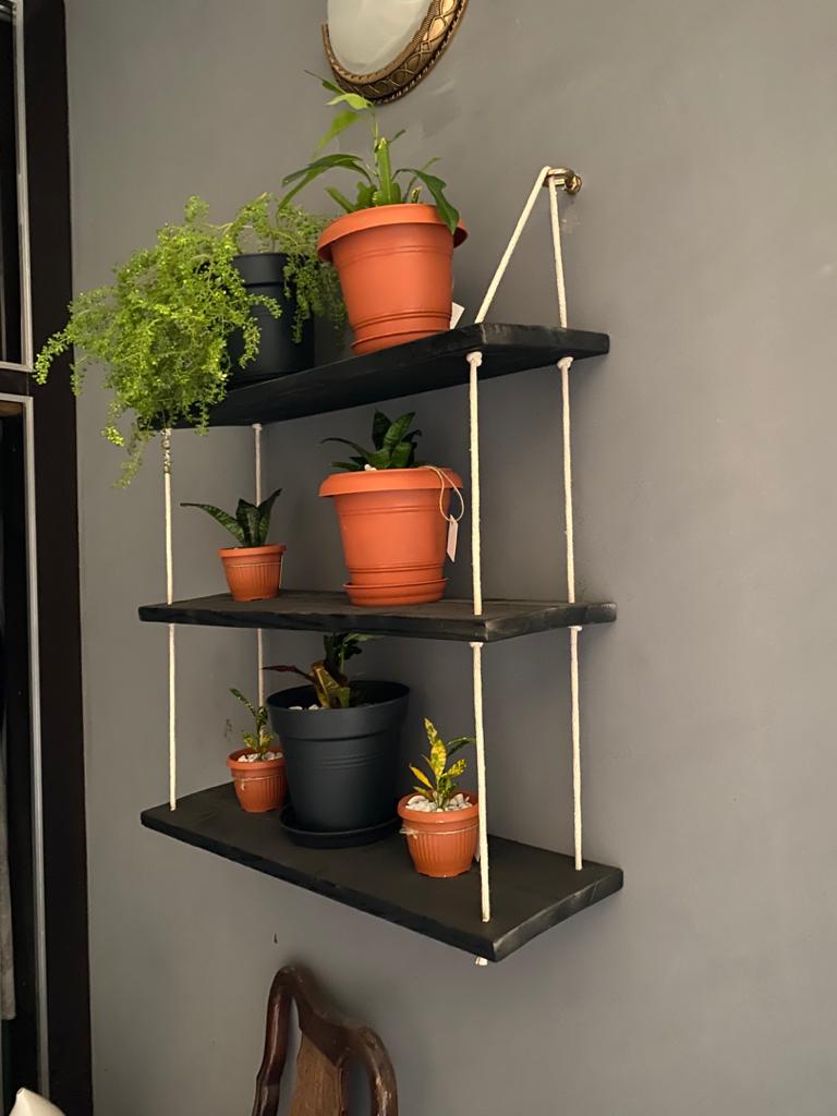 s_handcraft's tweet photo. Shelves done by @s_handcraft 
Plants from @sanseveria_ 
U can order it with 1,2 or 3 shelves as u like. And u can get them painted with whatever color u love 😍👍
Hurry up and get one 😌😉 https://t.co/6T3feldPk9