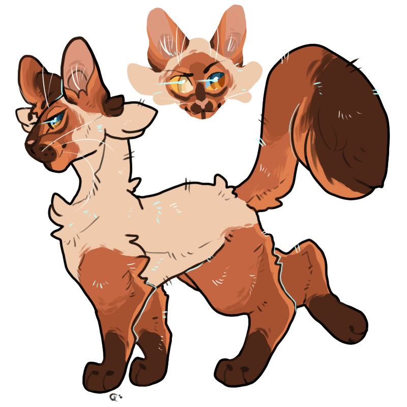whimsyfinch's tweet photo. Totally zoned on the Twitter front lately oops!!! #rootclan is still going strong with some new wild members! Commissions are still open! https://t.co/j7tPzOFcTi
