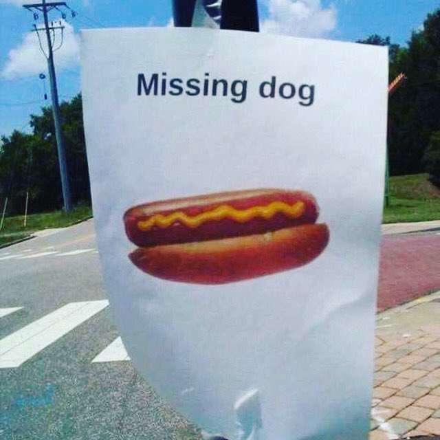 O'Doggy's tweet media