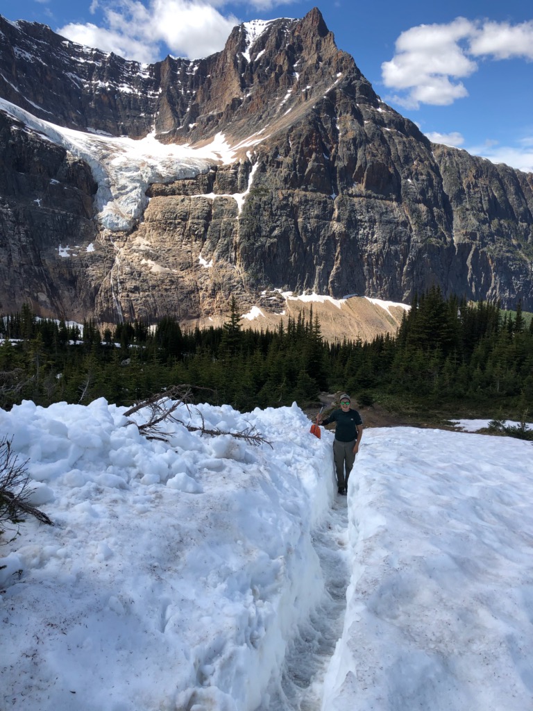 JasperNP's tweet photo. Cavell Meadows is open as of July 22, 2020. 
Thank you for respecting the closure. Please protect this sensitive environment by staying on the trail. https://t.co/q4XYoh5bzJ
