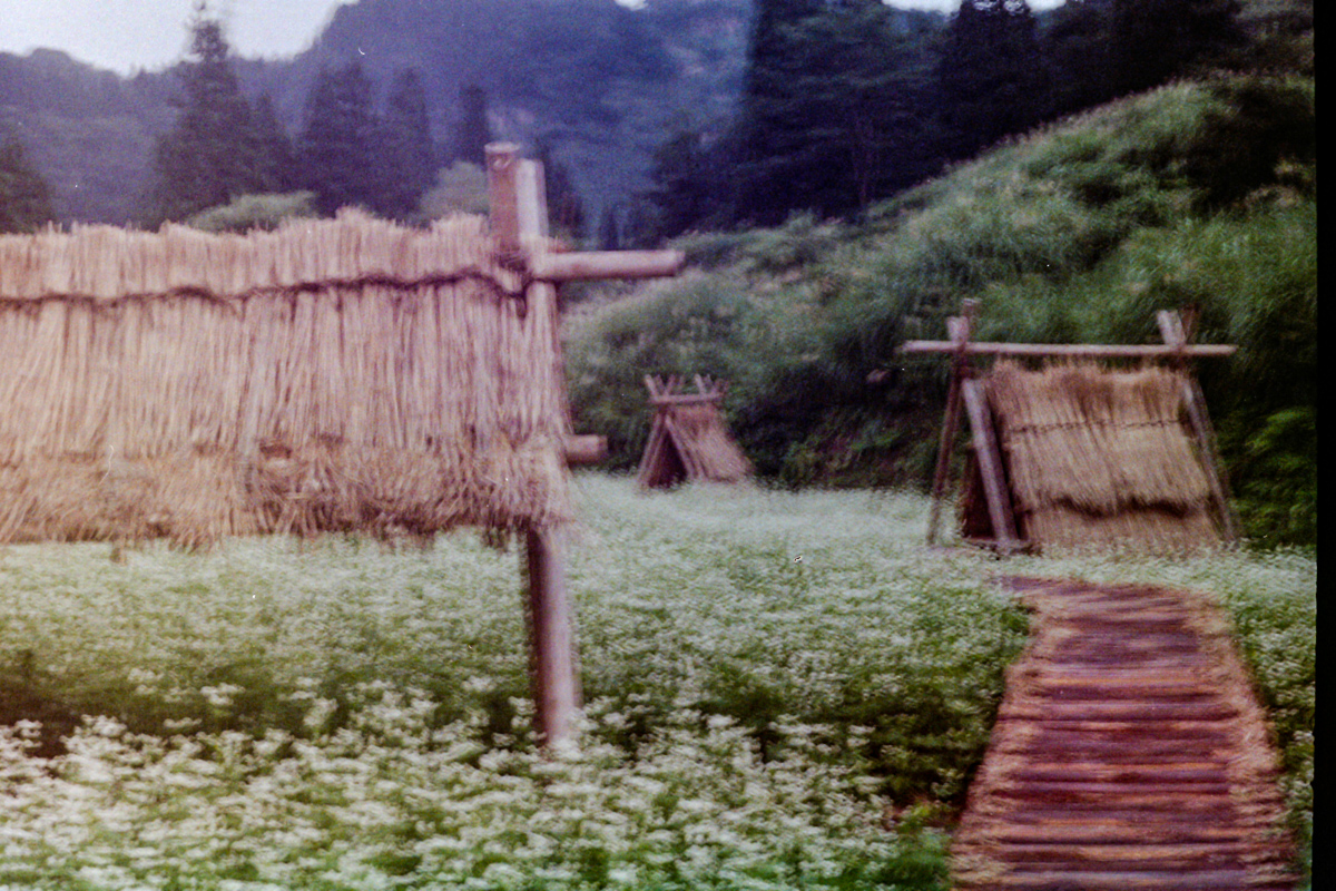imotech72's tweet photo. いちはらアート×ミックス(2014)
#film #zeissikon #japanphoto https://t.co/xrT9gxtT6y